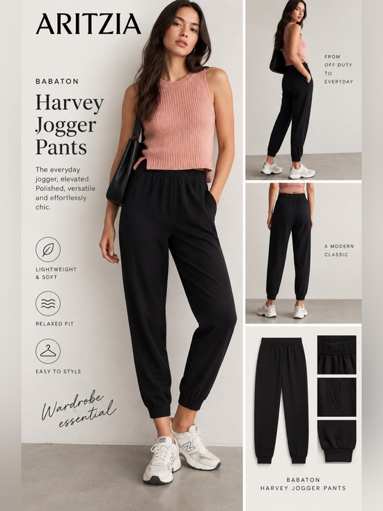 Babaton Pants - Aritzia Babaton Harvey Jogger Pants